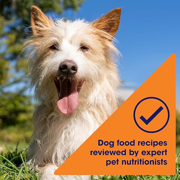 NATURE’S RECIPE WET DOG FOOD, CHICKEN IN BROTH RECIPE, 2.75 OUNCE CUP (PACK OF 12) PACKAGE MAY VARY
