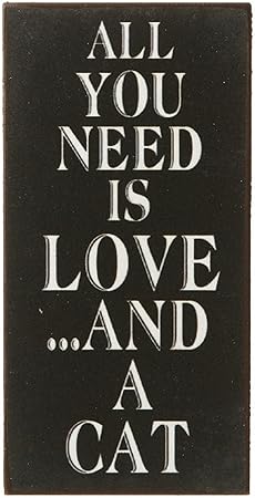 Heaven Sends Magnete Con Frase In Inglese Sui Gatti 10 X 5 Cm Nero Amazon It Casa E Cucina