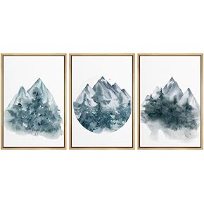 SIGNWIN 3 Piece Framed Canvas Wall Art Abstract...