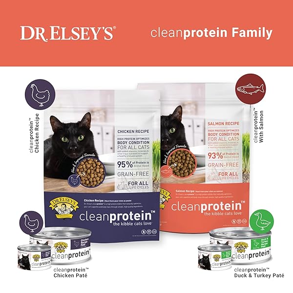 DR. ELSEY’S CLEANPROTEIN SALMON FORMULA DRY CAT FOOD, 6.6 LB