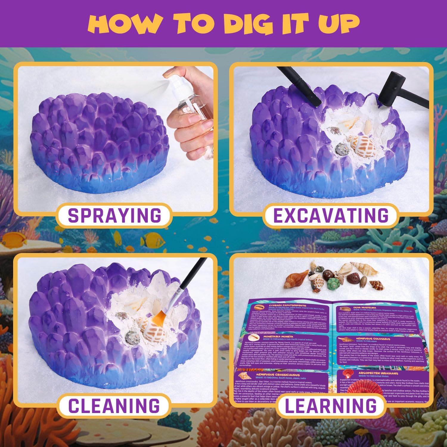 Ocean Fossil Dig Kit, Dig up 20+ Real Shells & Seasnails, STEM Educational Activity Set Sea Creatures Excavation Toy for Kids, Marine Biology Geology Science Kit, Gift for Boys and Girls Age 6+