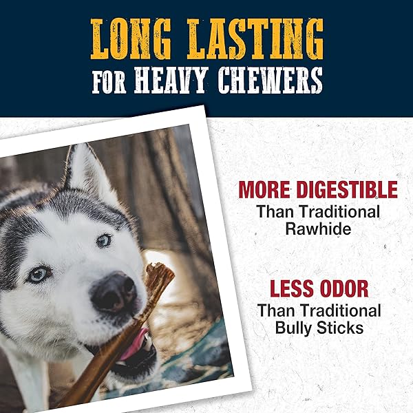 CADET BULLY HIDE STICKS FOR LARGE DOGS, ALL-NATURAL BEEF PIZZLE, LIMITED-INGREDIENT LONG-LASTING DOG CHEWS FOR AGGRESSIVE CHEWERS, 7 COUNT