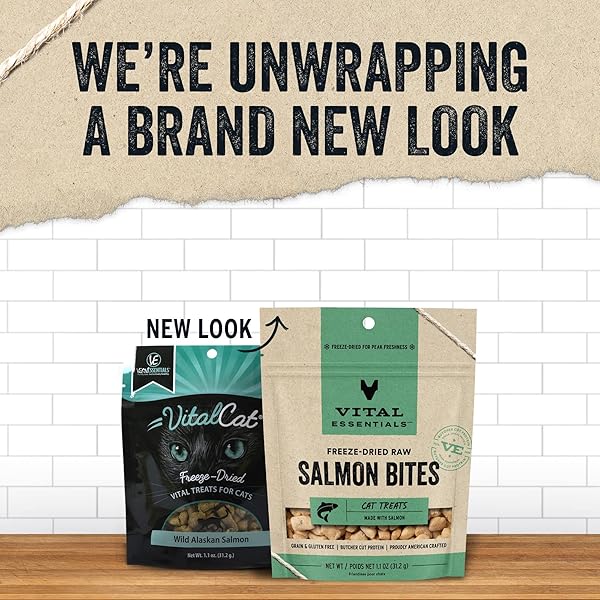 VITAL ESSENTIALS FREEZE DRIED CAT TREATS | SALMON BITES, SINGLE PROTEIN | PREMIUM QUALITY | GRAIN FREE, CRUNCHY CAT TREATS, 1.1 OZ BAG