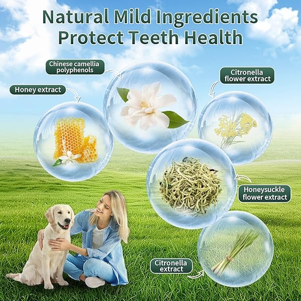 BORGOBRUFA DOG TEETH CLEANING WIPES, TEETH CLEANING FINGER WIPES FOR DOGS & CATS, DISPOSABLE NATURAL TEETH CARE WIPES GENTLE CLEANING & GUM CARE PET WIPES REDUCES PLAQUE & FRESHENS BREATH, 55 PCS