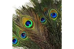 100pcs Natural Peacock Feathers with Eye Peacock Tail Feathers 10" - 12" (25-30cm) Perfect for Wedding Party Arts And Crafts 