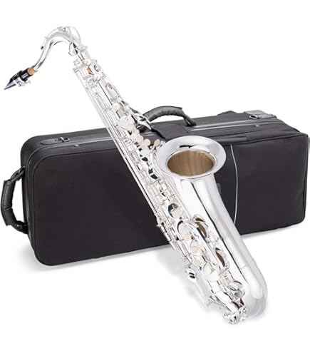 Amazon.com: Eldon by Antigua Alto Saxophone (AS-22) : Musical