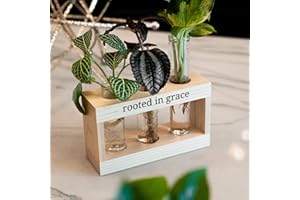 GROW 3:SEVEN Rooted in Grace: Plant Propagation Stations: Plant Cutting Holder w/Propagation Vases for Plants, Unique & Encouraging Christian Gifts for Women, Mom, Fun Indoor Planters, Faith Merch, Home Decor