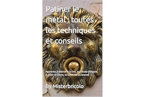 Patiner le métal : toutes les techniques et conseils: Apprenez à patiner à la cire, au nitrate d'argent; à veillir le cuivre,