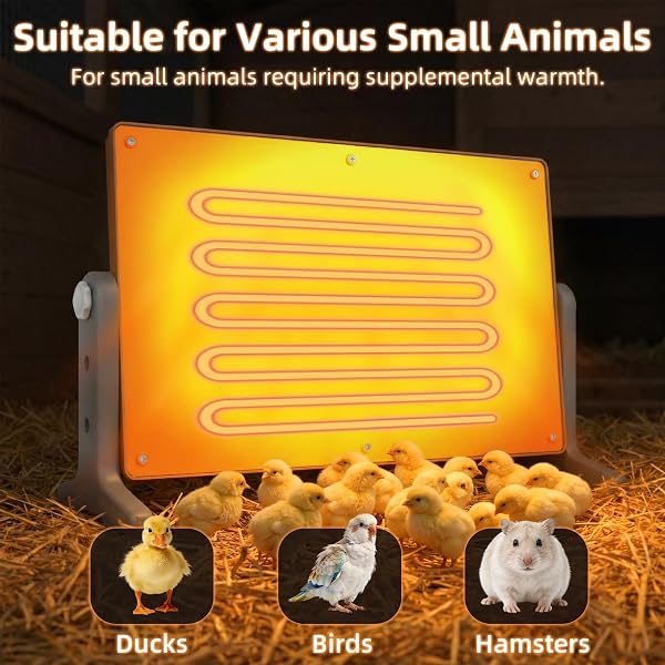 CHICK BROODER HEATER PLATE – 12″ X 8″ ADJUSTABLE HEIGHT & TEMPERATURE POULTRY WARMER FOR UP TO 10 CHICKS, BROODER HEATING PLATE FOR CHICKS AND DUCKLINGS, ORANGE