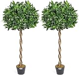 Christow Large 4ft Bay Tree In Pot Twin Pack Indoor Outdoor Topiary