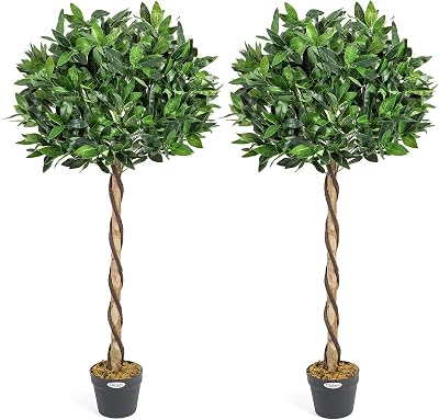 Christow Large 4ft Bay Tree In Pot Twin Pack Indoor Outdoor Topiary