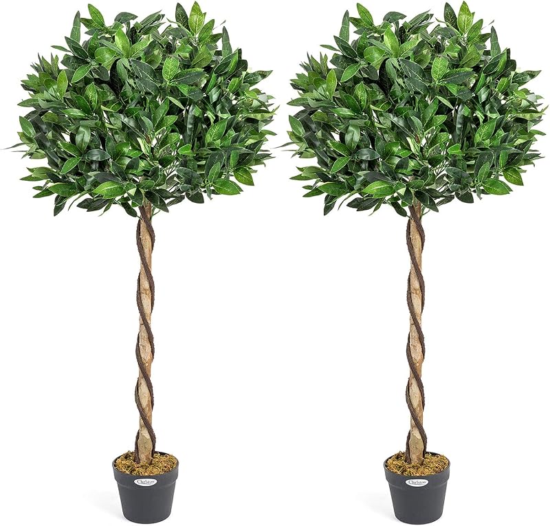 Christow Large 4ft Bay Tree In Pot Twin Pack Indoor Outdoor Topiary