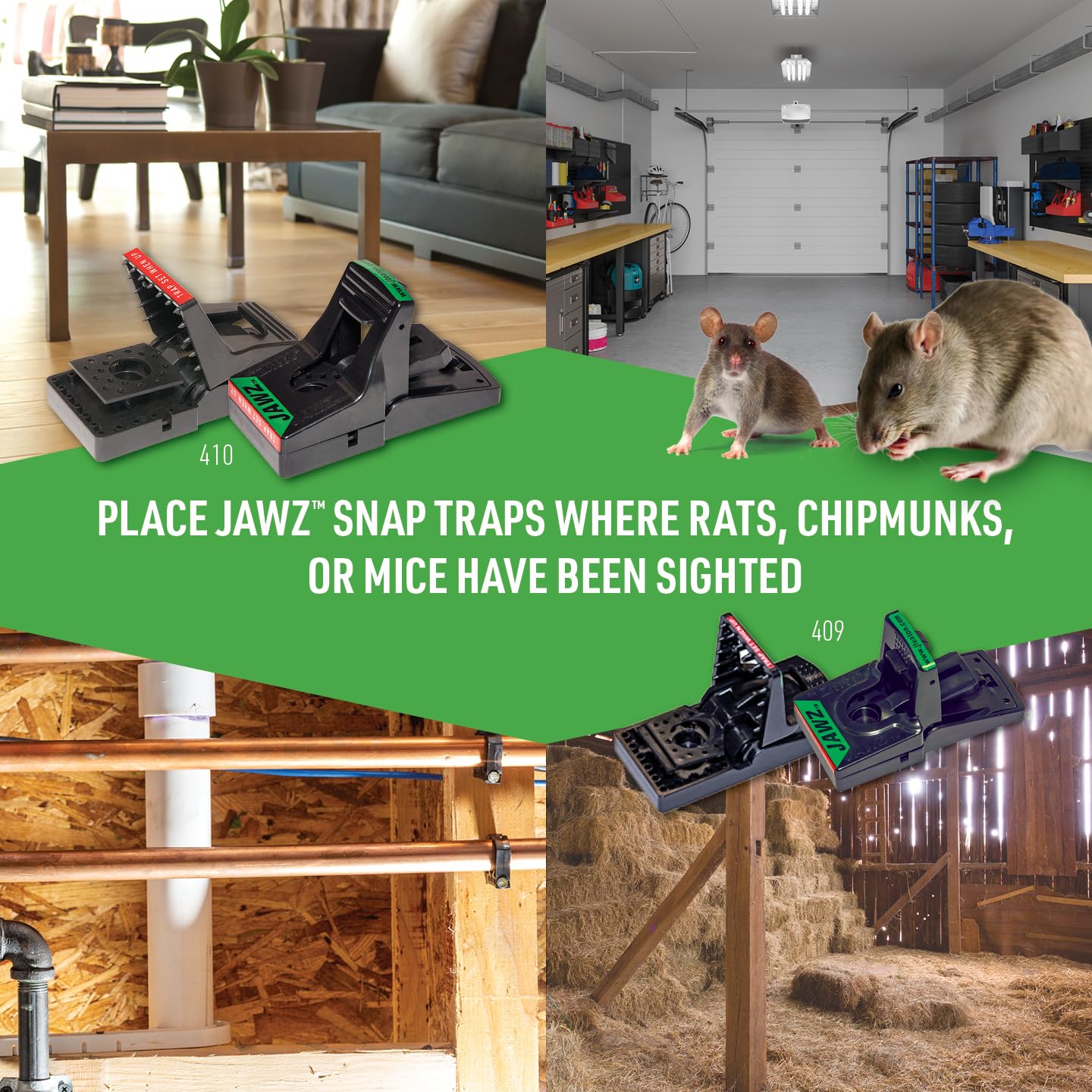 JT Eaton Jawz Reuseable Plastic Rat Trap with a High Tension Spring, Pack of 12