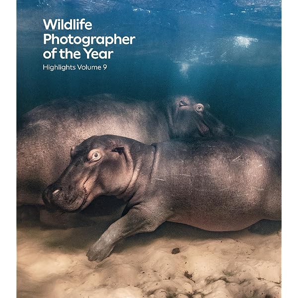 Natural History Museum 60 Years of Wildlife Photographer of the