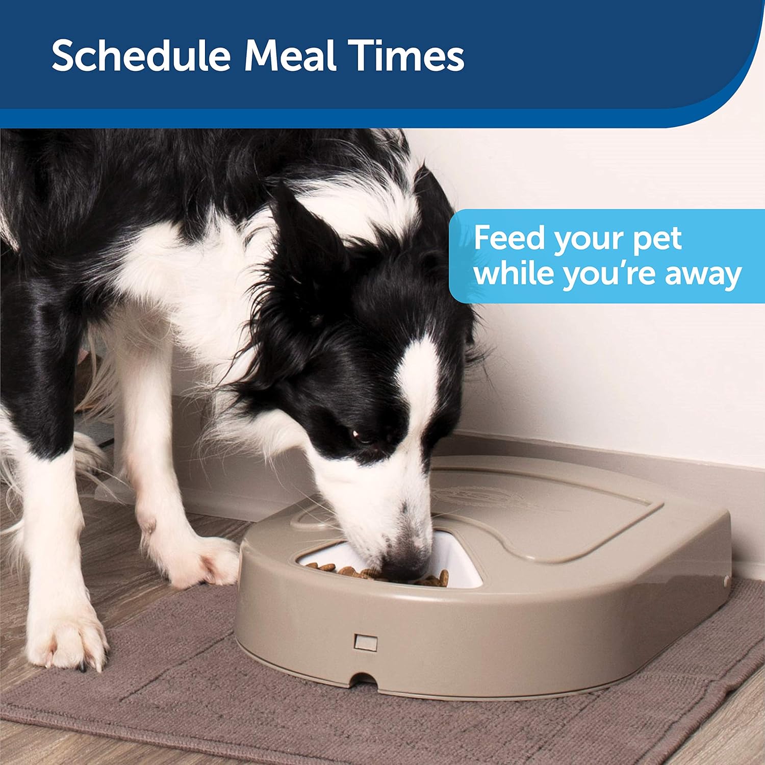 petsafe 5 meal pet feeder