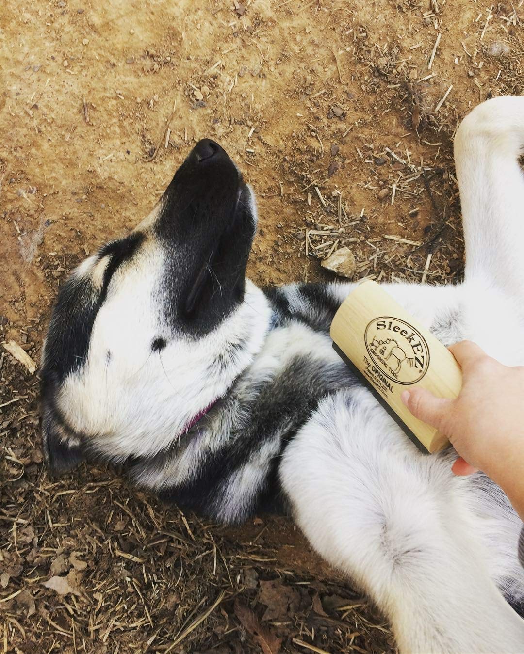 SleekEZ Deshedding Grooming Tool for Dogs, Cats & Horses Patented Undercoat Brush for Short