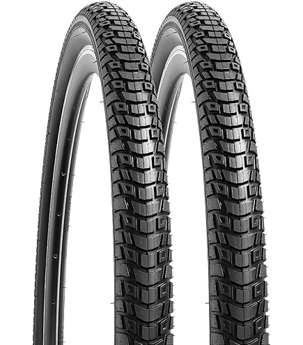 Amazon.com : MAXXIS Rambler 2 Pack - 650x47B - EXO, 2 Pack | EXO