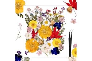 LUARKYEER 50Pcs Large Dried Pressed Flowers for Resin Molds, Real Dry Natural Flower Leaf for Crafts Scrapbooking, with Tweezers for Candle Making DIY Jewelry Crafts, Soap Making, Cake Decor, Glass Frame
