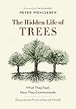 The Hidden Life of Trees: What They Feel, How They
