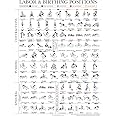Labor Positions Poster - Birthing Positions Chart - Childbirth Education for Doula, Midwife or Birthworker - 18" x 24" - Laminated