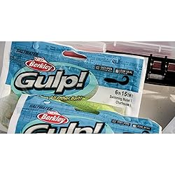 Berkley Gulp! Swimming