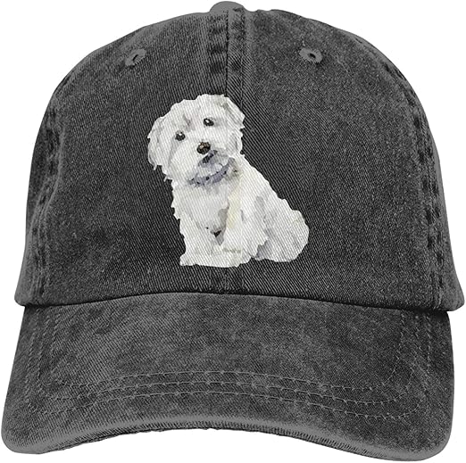 Can I Pet Your Dog Baseball Cap,Washed Cotton Black Trucker hat for Men