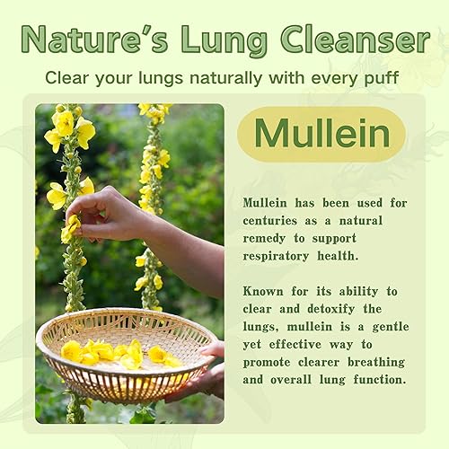 mullein vape disposable Vape It Up with The Sleek, Hi-tec And Bright NEXA ULTRA 50000 main image 1