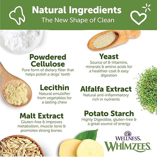 WHIMZEES WELLNESS ALLIGATOR DOG DENTAL TREATS, NATURAL CHEWS, MEDIUM SIZE, (12 COUNT)