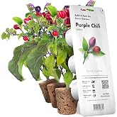 Click and Grow Smart Garden Purple Chili Plant Pods, 3-Pack