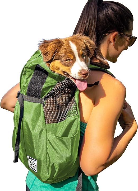 little dog backpack carrier