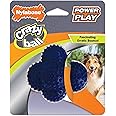 Nylabone Power Play Crazy Ball Interactive Play Toy, Fetch Ball Toy for Dogs, Large (1 Count)