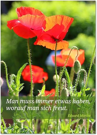 Get Glueck zitat freude Desktop Wallpaper Glueck Zitat Freude