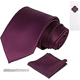 THESRYTTL Men's Solid Neckties for Formal Business and Wedding with Gift Box