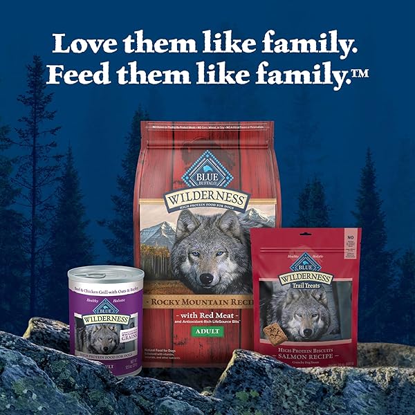 BLUE BUFFALO WILDERNESS TRAIL TOPPERS WILD CUTS WET DOG FOOD, HIGH-PROTEIN & GRAIN-FREE, MADE WITH NATURAL INGREDIENTS, CHUNKY BEEF BITES IN HEARTY GRAVY, 3-OZ. POUCHES, (24 COUNT)