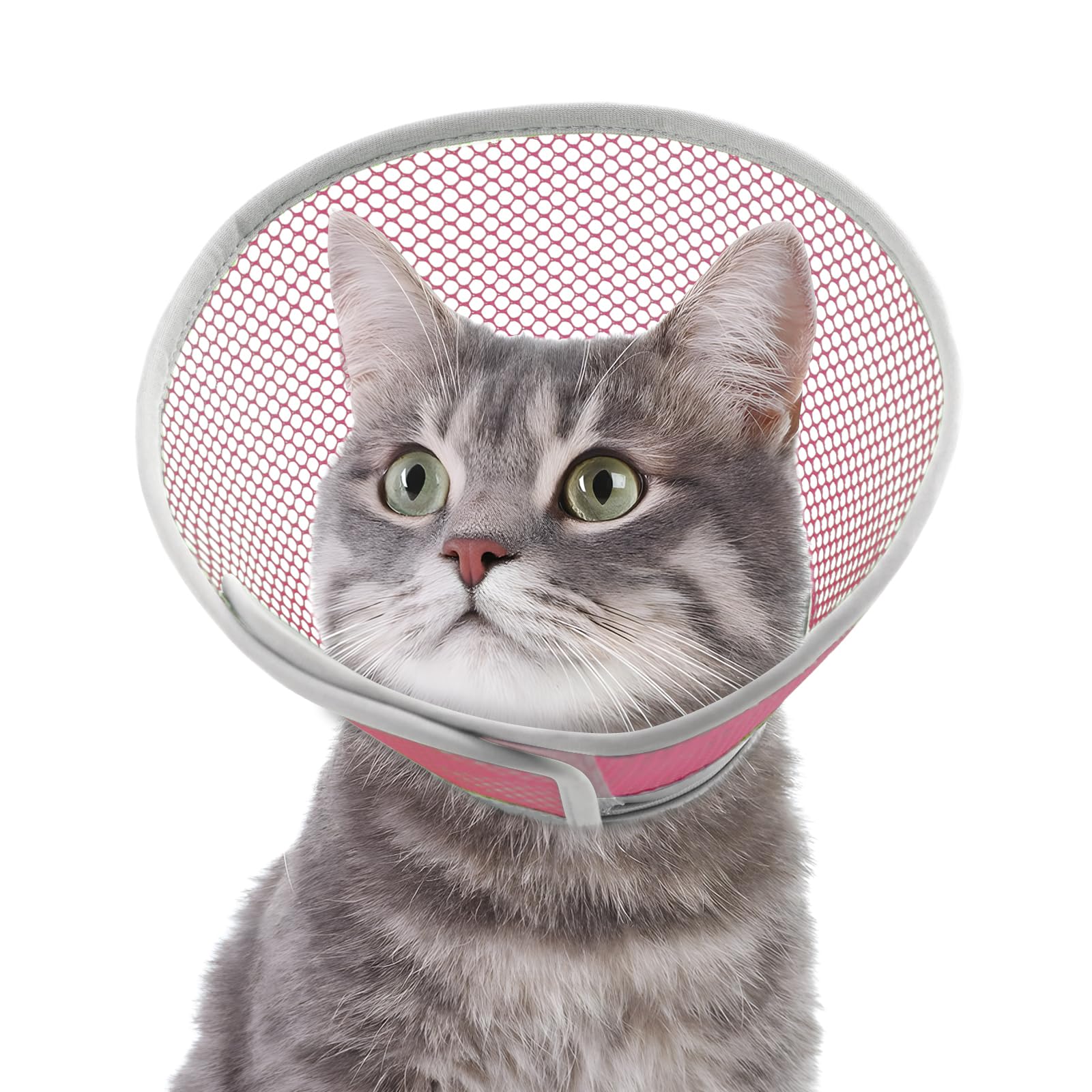 Photo 1 of Joypig Cat Cone Collar Soft to Stop Licking After Surgery, Waterproof Lightweight Recovery Collar for Cats and Small Dogs, Elizabeth Plastic Cone Alternative, Neck Pillow to Prevent Scratches
