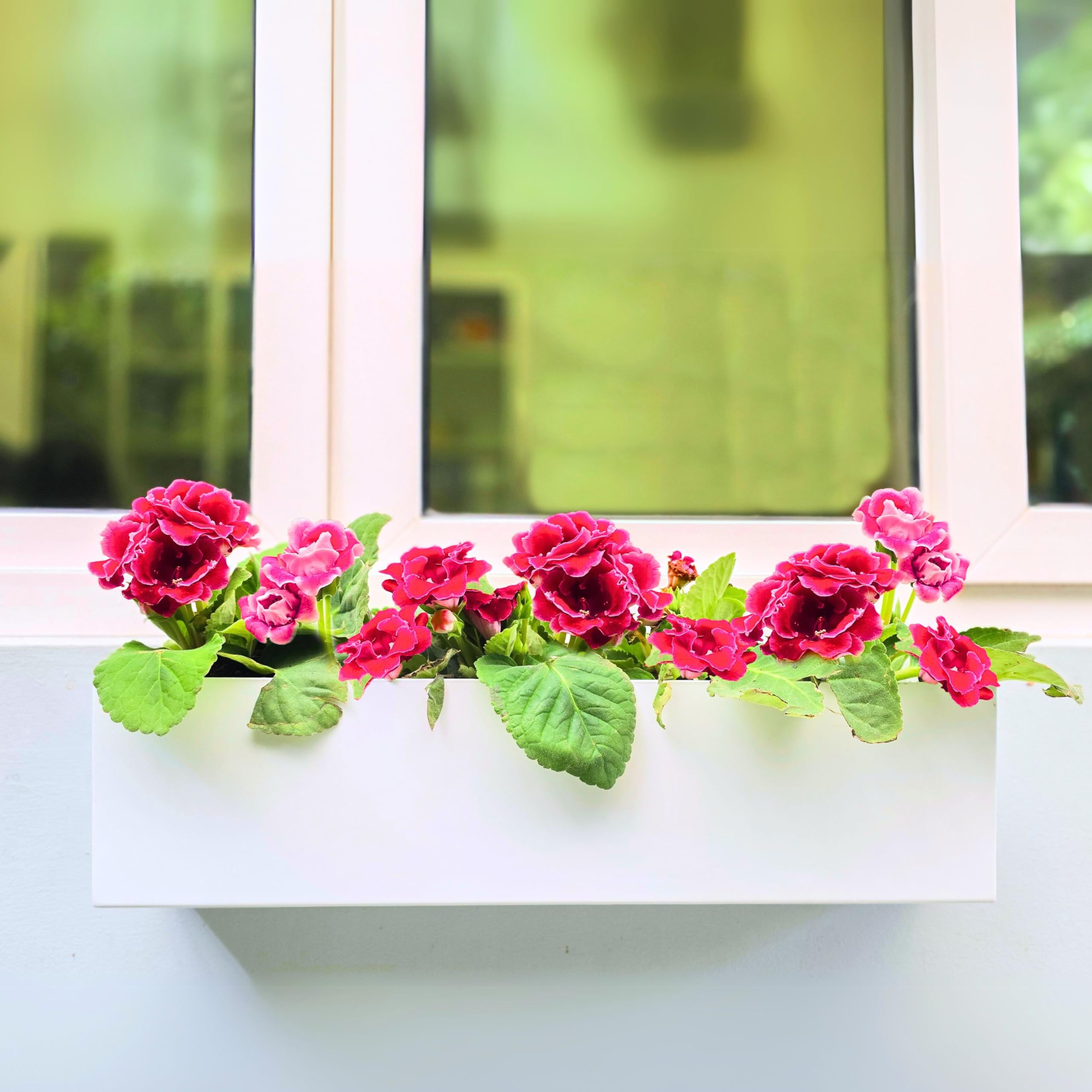 Photo 1 of ****FOR PARTS ONLY MISSING ASSEMBLY PIECES**** LaLaGreen Wall Planter (24 Inch, 1 Pack) Carbon Steel White Metal Hanging Flower Pot for Succulents, Wall Mount Rectangular Window Sill Box Fence Floating Garden Shelf for Deck Indoor Outdoor Decor