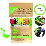 Vitax Engrais Sels D'Epsom 1,25 Kg - Remède Magnésium Pour Plantes Et Tomates