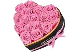 MAMAMIKO 16 Preserved Roses in Heart Shape Gift Box for Her - Forever Flowers for Delivery, Eternal Rose Mothers Gifts for Mom, Wife Anniversary Birthday Gifts for Women, Pink