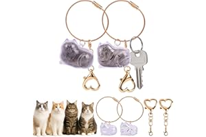 Arrozon 4Pack Cat Fur Memory Charm, Transparent Cat Hair Keychain Pet Fur Keepsake Pendant, Refillable Cats Keychain for Pet Lovers, Daily Carry, Memorial Gift（Gold）