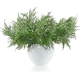 Giegxin 12 Pcs Christmas Cedar Pine Branches 18.5'' Artificial Real Touch Cedar Stems Picks Faux Norfolk Pine Branches Christmas Greenery Picks Sprays for Vase Centerpiece DIY Wreaths Garlands Decor