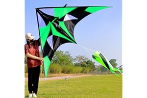 WEICAFLY Giant Delta Kite for Adults, Comes with 3D Spinning Kite Tail, Large Kites for Kids and Adults Over 10 for Ages Huge Single Line Beach Kite