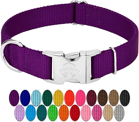 no bowl cat feeder amazon