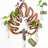 2Special Propagation Stations | Hanging Propagation Station and Wall Planters for Indoor Plants | Wooden Wall Vase, 6+1 Glass Propagation Vases for Plants | Leaf Shape Plant Propagation Station