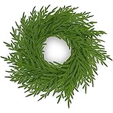 24" Real Touch Norfolk Pine Wreath for Front Door – Artificial Winter Greenery & Farmhouse Wall Decor, All Season Faux Evergreen Round Garland for Spring, Mantel & DIY Base (Waterproof)