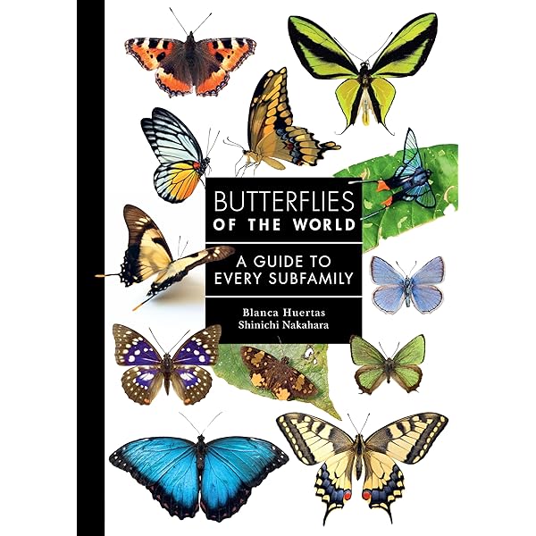 The World Encyclopedia of Butterflies & Moths: A Natural History