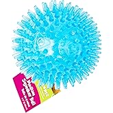 Gnawsome Medium Squeaker Ball Dog Toy, Medium 3.5", Colors will vary, All Breed Sizes