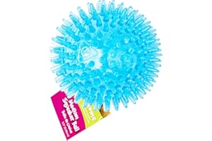 Gnawsome Medium Squeaker Ball Dog Toy, Medium 3.5", Colors will vary, All Breed Sizes