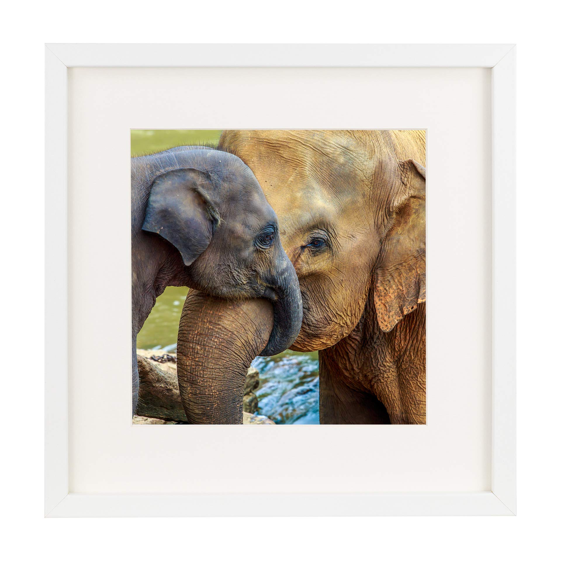 11 x 11-Inch Square Picture Photo Frame with mount for 8 x 8-Inch photo, WHITE