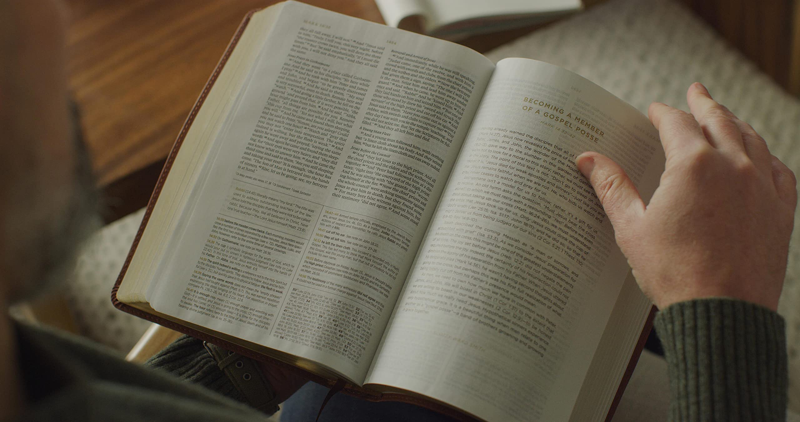 ESV Men's Study Bible (TruTone, Brown): Holy Bible, English Standard Version