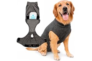 ILVYA Dog Recovery Suit After Surgery – Body Suit for Female Spay & Male Neuter with Washable Pads, Post-Surgery Onesie for Dogs, Large (Grey)